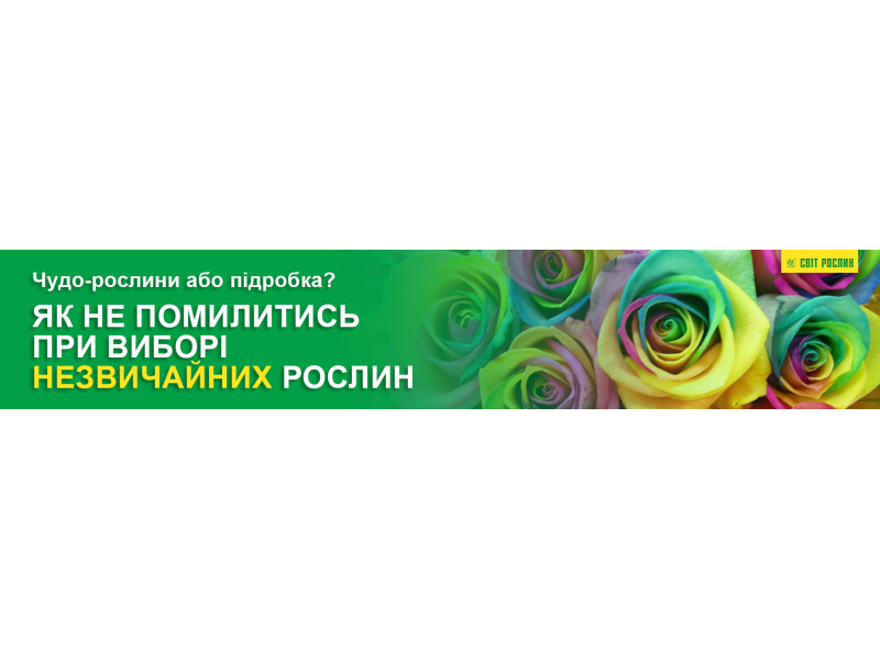 Чудо-рослини або підробка? Як не помилитись при виборі незвичайних рослин