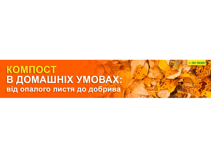 Компост у домашніх умовах: від опалого листя до удобрення