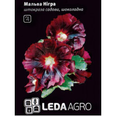 Мальва Нігра шоколадна багаторічна 0.3 г LedaAgro