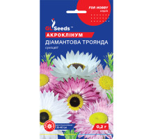 Насіння Акроклінум Діамантова троянда GL Seeds 0,2 г