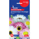 Насіння Акроклінум Діамантова троянда GL Seeds 0,2 г