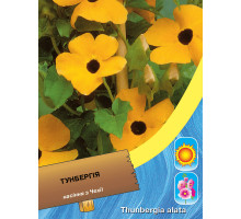 Тунбергія чорноока Сюзанна 0.4 г