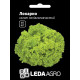 Насіння Салат Локарно Лолло Біондо 30 шт LedaAgro