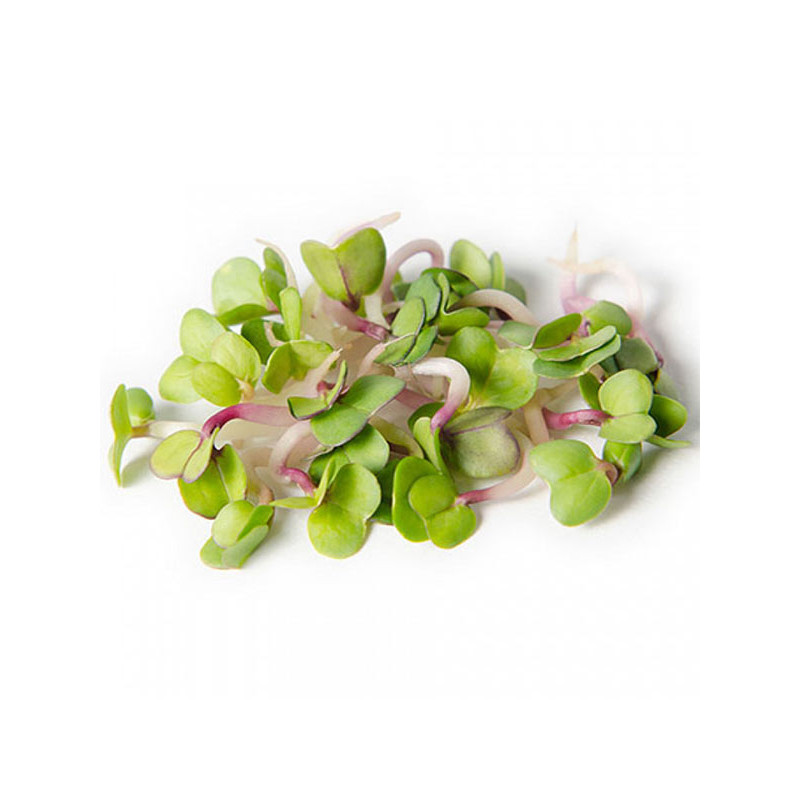 Семена Микрозелени Редис 30 г Craft