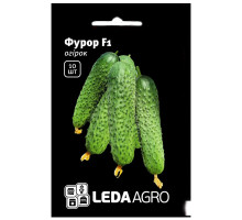 Семена Огурец Фурор F1 10 семян LedaAgro