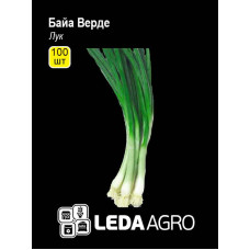 Лук на перо Байа Верде 100 шт