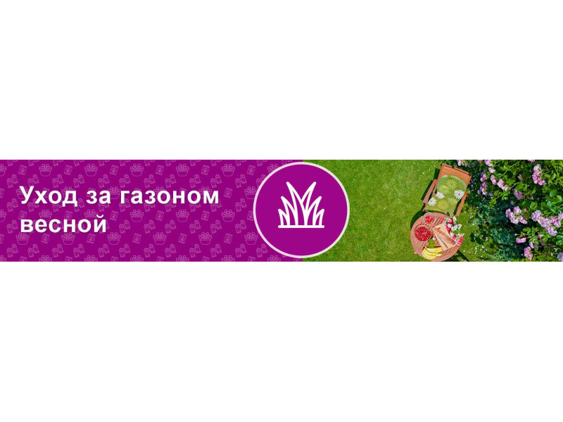 Догляд за газоном навесні