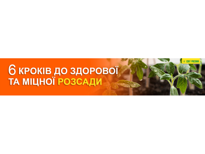 6 кроків до здорової та міцної розсади