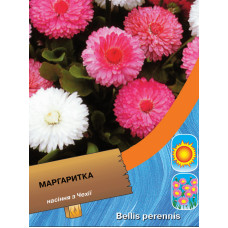Маргаритка помпоновидна суміш 0,1