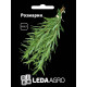 Насіння Розмарин 0,05 г LedaAgro