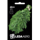 Насіння Кріпу Діл 10 г Leda Agro 