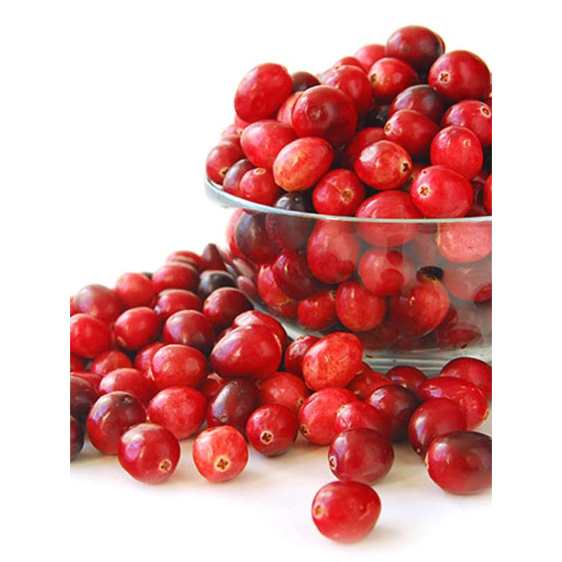 Клюква Эрли Блэк Ранняя