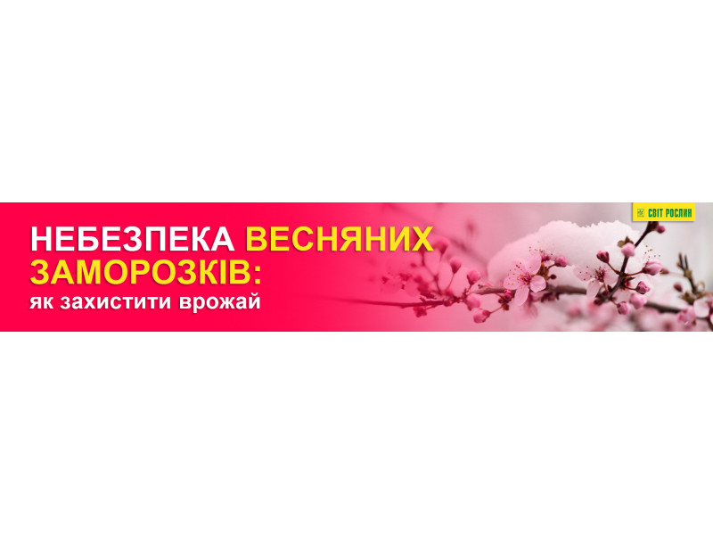 Небезпека весняних заморозків: як захистити врожай