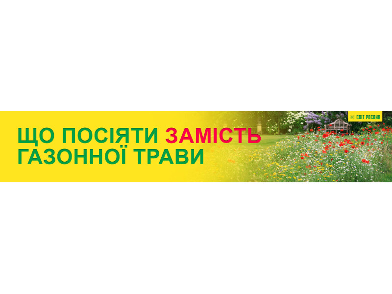 Що посіяти замість газонної трави