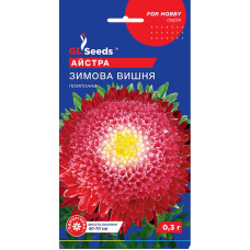 Насіння Айстра Зимова вишня  GL Seeds 0,3 г