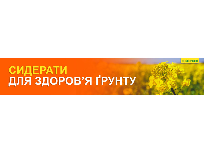Сидерати для здоров’я ґрунту