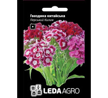 Насіння Гвоздика китайська Перський Килим суміш 0,1 г LedaAgro