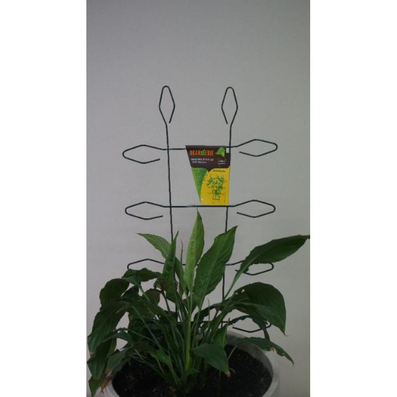 Шпалера для растений ORANGERIE W 3 310*510