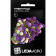 Семена Гомфрена Бадди смесь 0,1 г LedaAgro