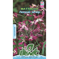 Матіола Літній вечір 5 г