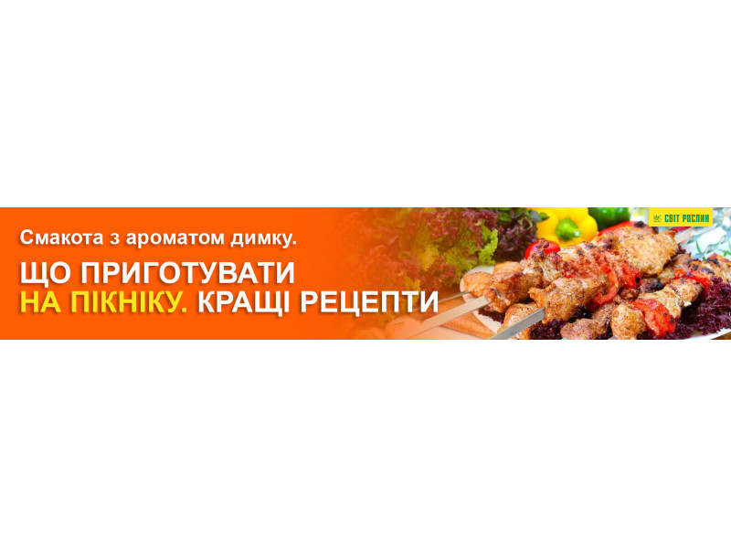 Смакота з ароматом димку. Що приготувати на пікніку. Кращі рецепти