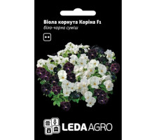 Насіння віола Коріна F1 біло-чорна суміш 10 шт. LedaAgro