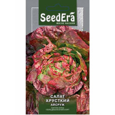 Салат Айсруж (кочанный) 1 г