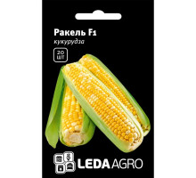 Насіння Кукурудза Ракель F1 20 насінин LedaAgro
