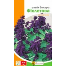 Насіння сальвії блискучої фіолетової 0,2 г