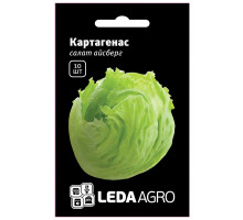 Насіння Салат Айсберг Картагенас 10 насінин LedaAgro