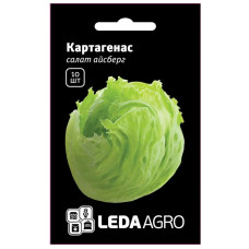Насіння Салат Айсберг Картагенас 10 насінин LedaAgro