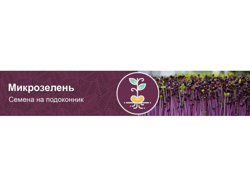 Все що ви хотіли знати про мікрозелень