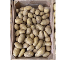Насіннєва картопля Раномі 1 репродукція рання 2,5 кг
