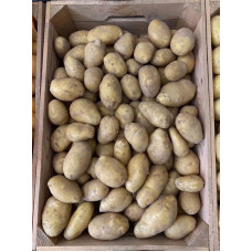 Насіннєва картопля Раномі 1 репродукція рання 2,5 кг