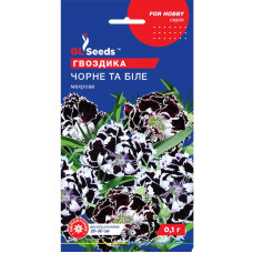 Насіння Гвоздика Чорне і біле GL Seeds 0,1 г