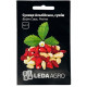 Семена Земляника Альпийская, смесь Вайт Соул, Регина 0,2 г LedaAgro