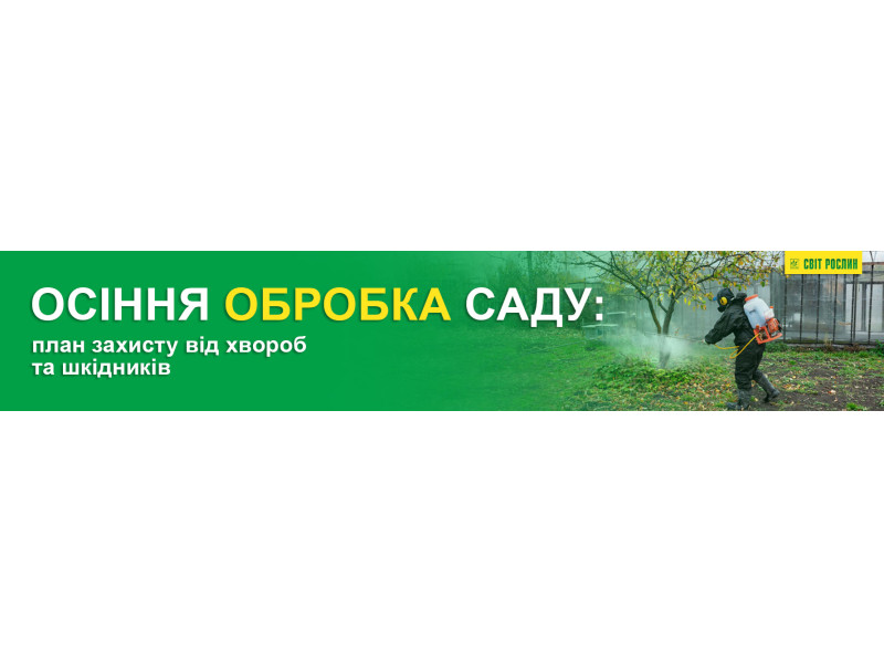 Осіння обробка саду: план захисту від хвороб та шкідників
