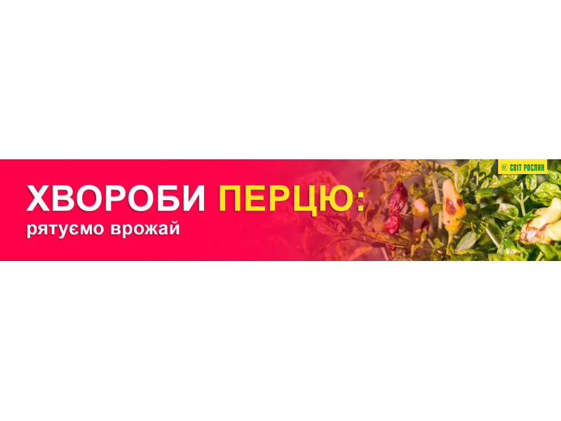 Хвороби перцю: рятуємо врожай