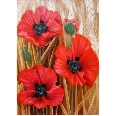 Алмазна мозаїка Маки 20*30 см
