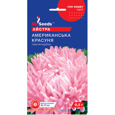 Насіння Айстра Американська красуня 0,3 г GL Seeds