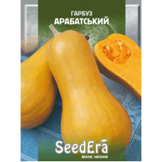 Насіння Гарбуз Арабатський 20 г Seedera