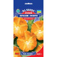 Насіння Іпомея Оранж Глорі GL Seeds 0,25 г