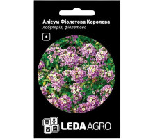 Насіння Аліссум Фіолетова Королева 0,2 г LedaAgro