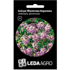 Насіння Аліссум Фіолетова Королева 0,2 г LedaAgro