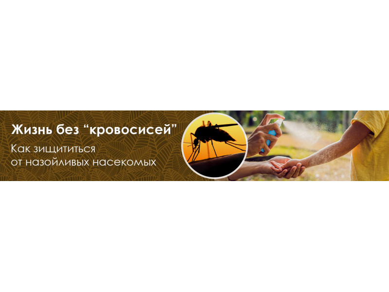 Життя без комарів: як захистити себе і сім'ю від 