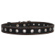 Нашийник CoLLar безрозмірний 01511