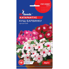Насіння Барвінок Катарантус Кущ 0,1 г Gl Seeds