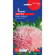 Насіння Айстра Леді Коралл GL Seeds 0,3 г