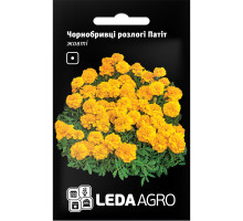 Насіння Чорнобривці розлогі Патіт жовті 0,25 г LedaAgro