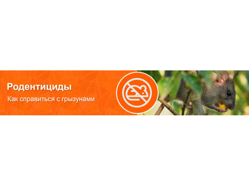 Миші атакують!